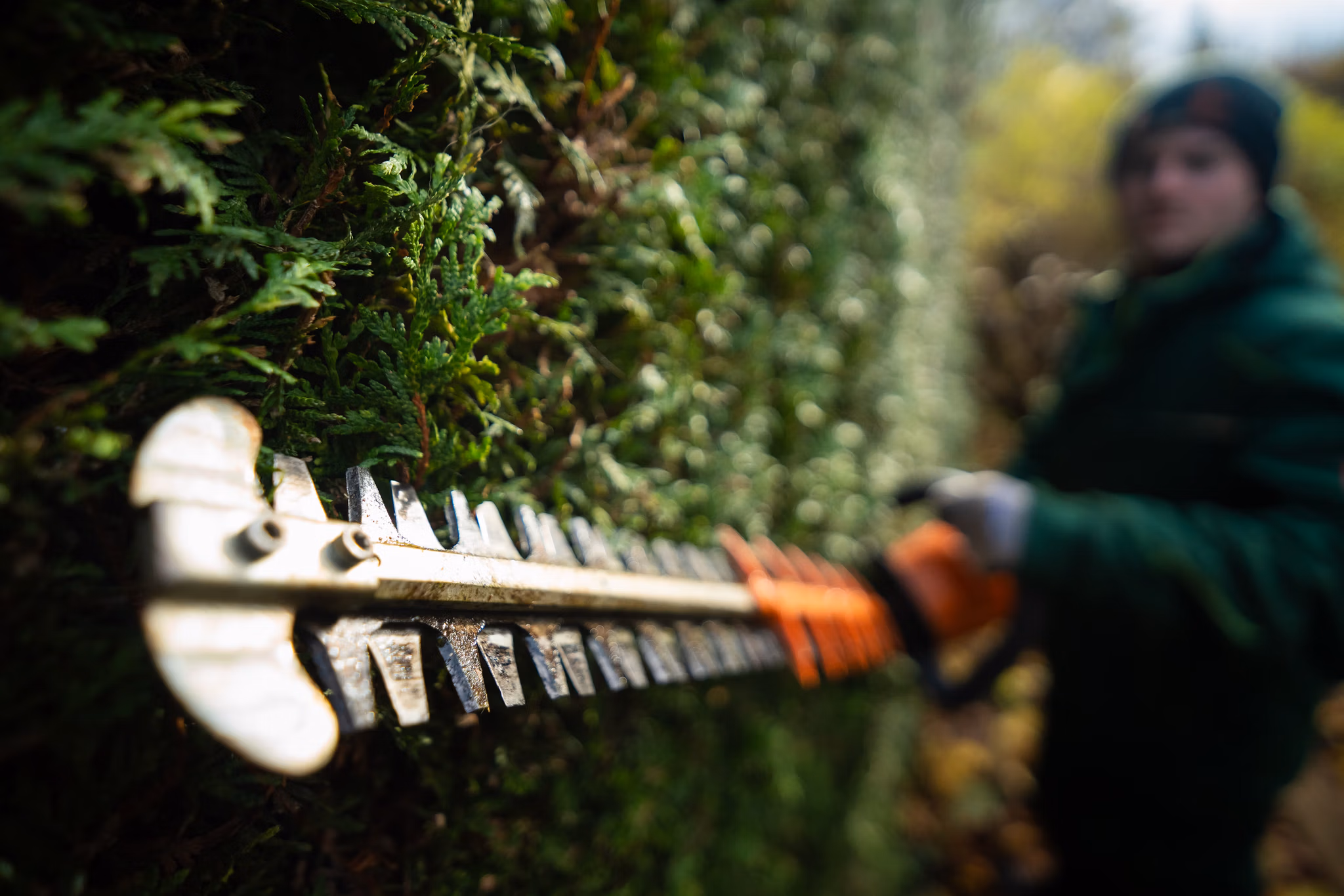 Distinguished garden maintenance for luxury Red Deer properties
